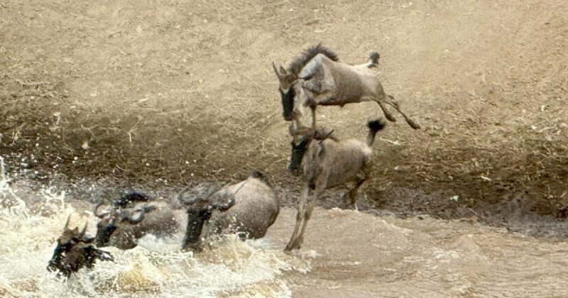 Kenya and Tanzania mull joint board to manage Mara river