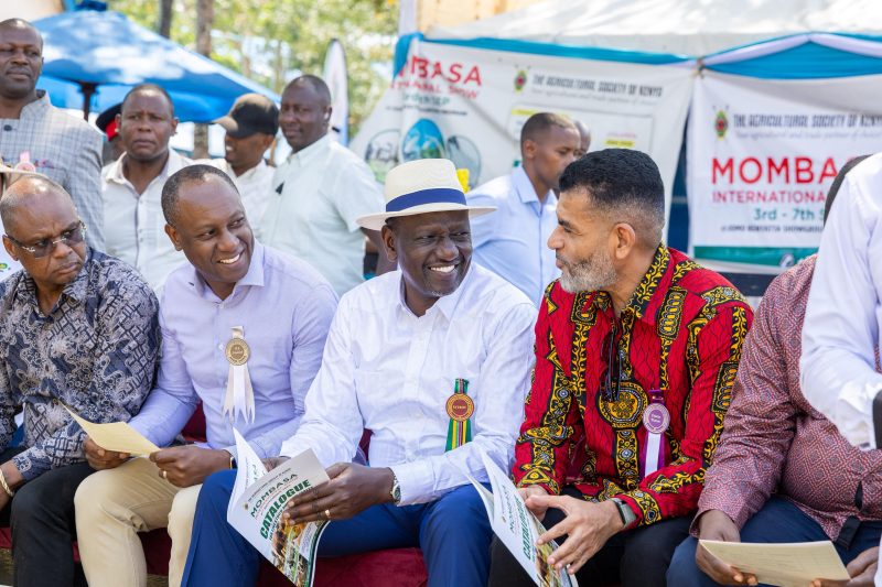 Govt has taken deliberatet steps to grow economy: President Ruto