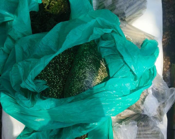 NACADA Leads Crackdown on Drugs and Illicit Booze in Siaya as Traffickers are Warned