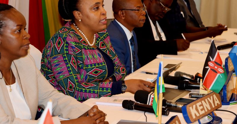 Mwanza to host regional headquarters to boost safety on Lake Victoria