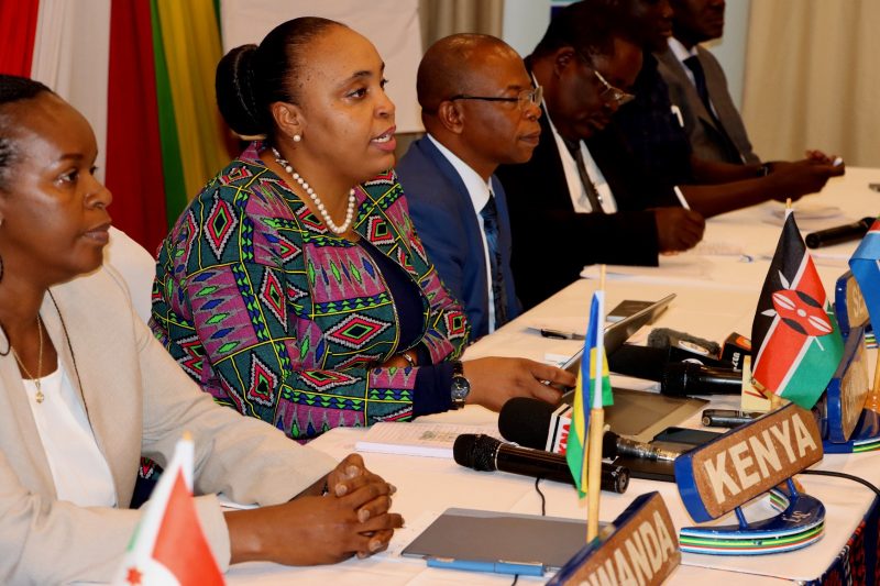 Mwanza to host regional headquarters to boost safety on Lake Victoria