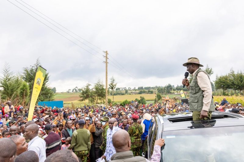 President Ruto lifts ban on logging for harvesting of mature trees in forests