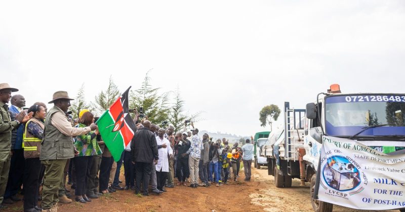 Govt commences restoration of 33,000 degraded hectares in Mau Forest