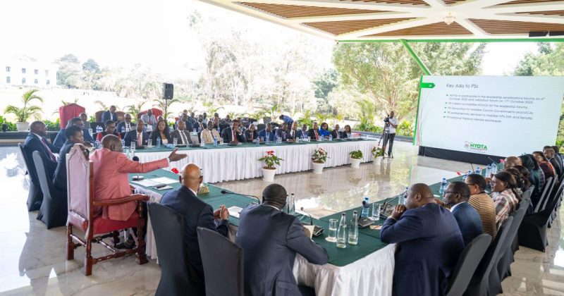 Govt adopts whole-of-government approach ahead of NYOTA program rollout
