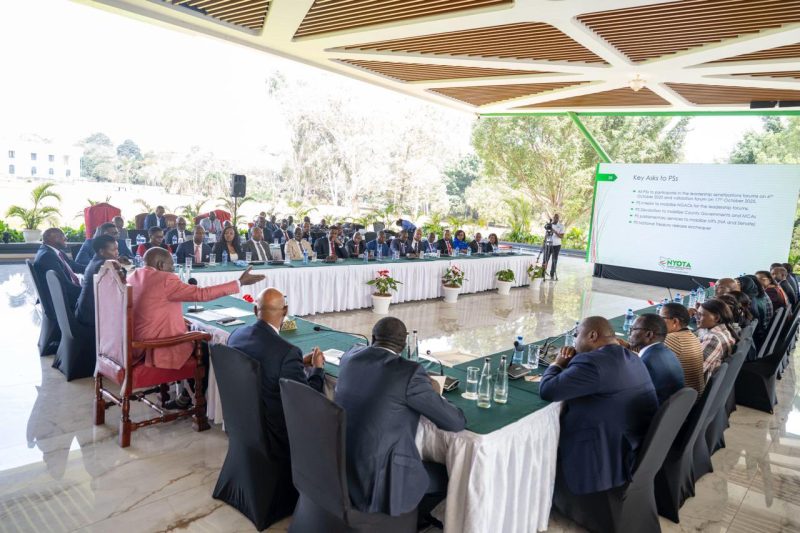 Govt adopts whole-of-government approach ahead of NYOTA program rollout