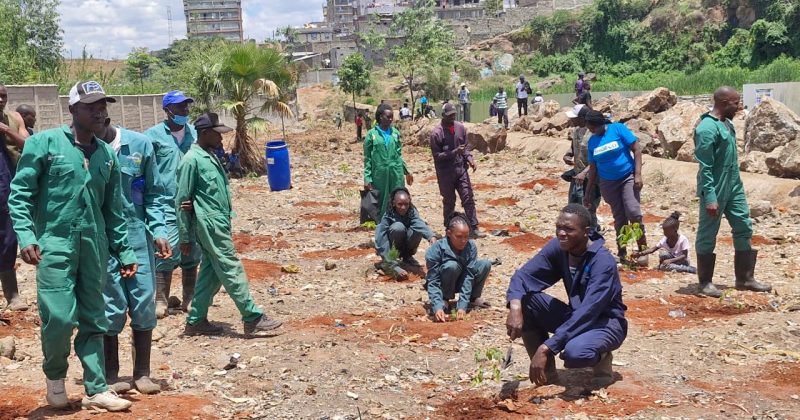 SHOFCO leads 16 CBOs in tree-planting dive across 7 counties to mark Mazingira Day