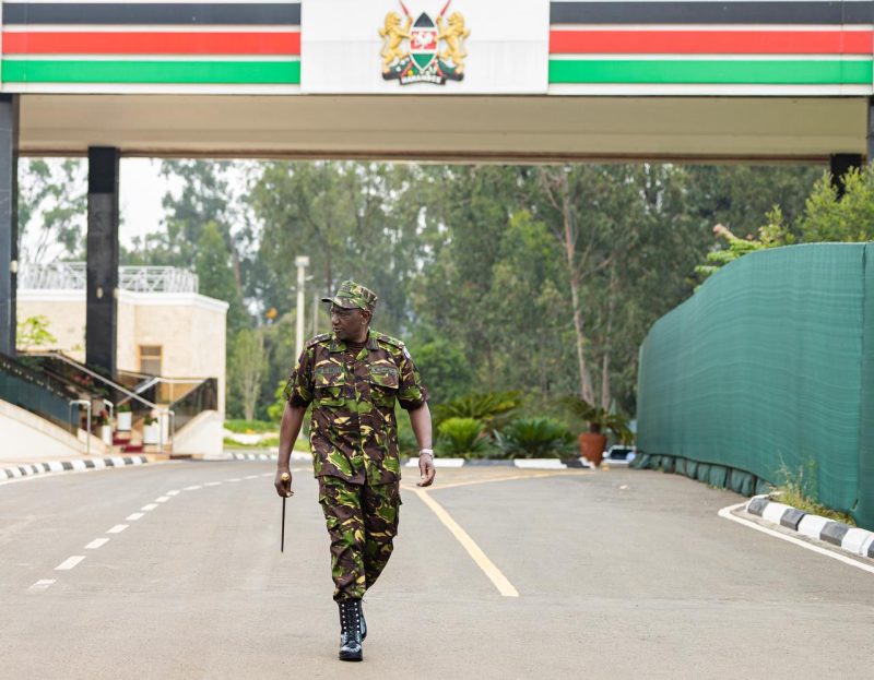 President Ruto in KDF combat uniform for the first time as Commander-in-Chief