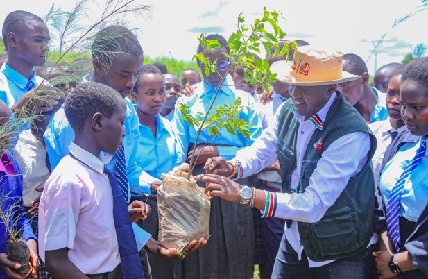 Govt urges hotels to designate tree planting spaces to boost sustainable tourism