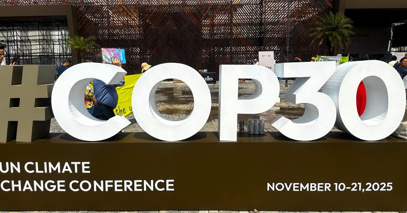 How African reps held their ground at COP30