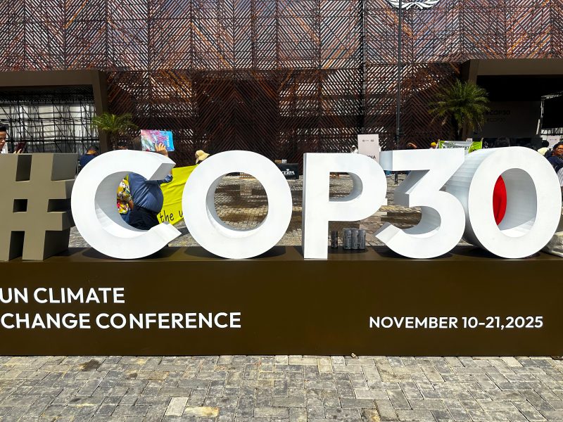 How African reps held their ground at COP30