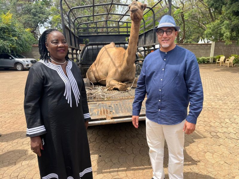 Balala Leads Delegation to Bondo, Presents Camel in Honour of Raila