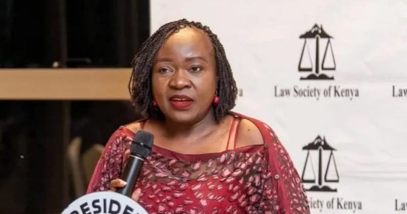 KNCHR chair Claris Awuor appointed to replace Faith Odhiambo at protests compensation panel