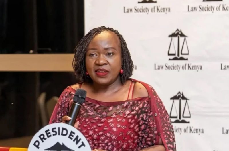 KNCHR chair Claris Awuor appointed to replace Faith Odhiambo at protests compensation panel