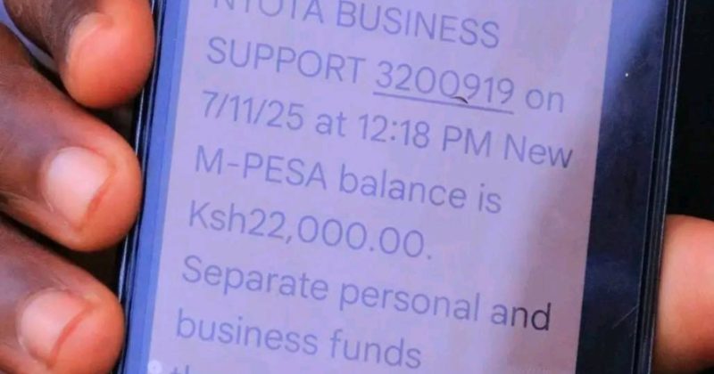 Senator Methu seeks clarity of NYOTA Programme implementation