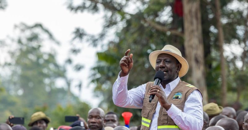 Kenyans urged to Acquire IDs as Government Waives Application and Replacement Fees