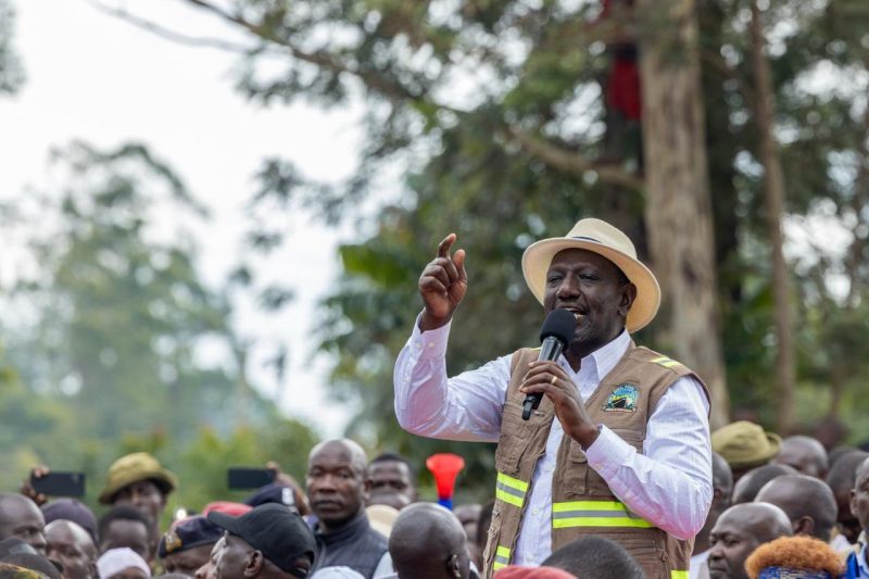 Kenyans urged to Acquire IDs as Government Waives Application and Replacement Fees