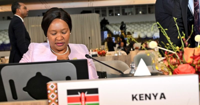 Kenya elected to UN Tourism Executive Council, wins 3 committees