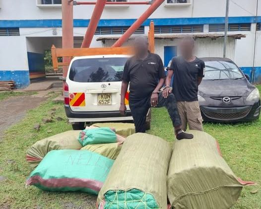 Two Suspects Nabbed in Homa Bay With 300kg of Cannabis