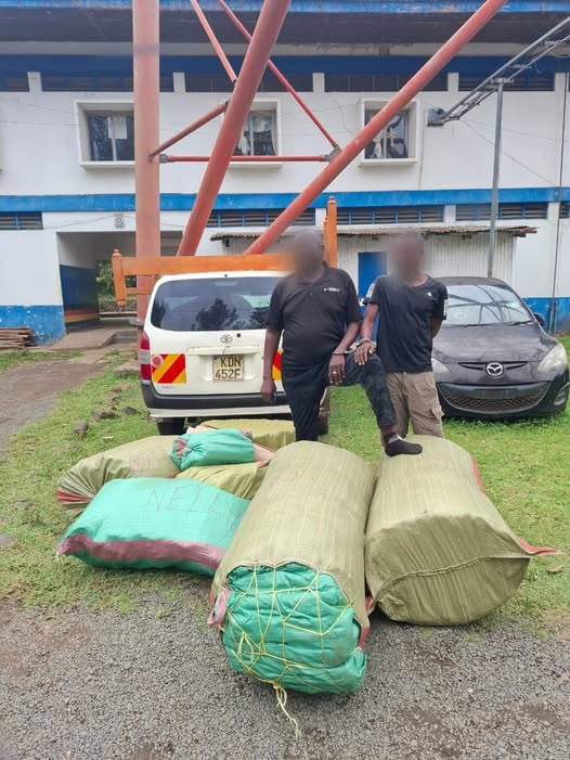 Two Suspects Nabbed in Homa Bay With 300kg of Cannabis