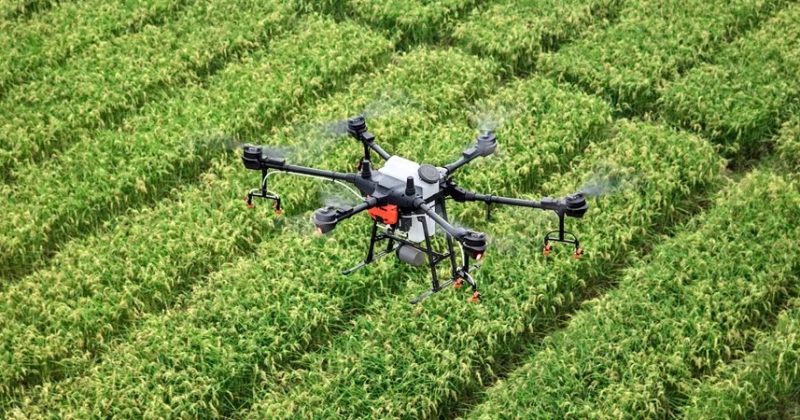 OPINION: How China–Kenya agri-tech is redefining African farming