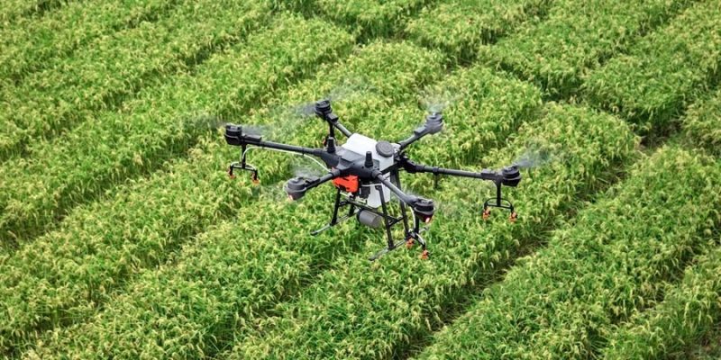 OPINION: How China–Kenya agri-tech is redefining African farming