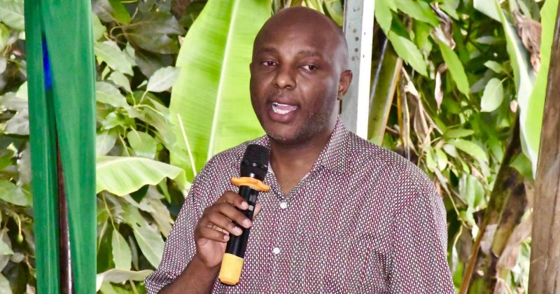 Kang’ata defends social spending, roots for context-specific rating