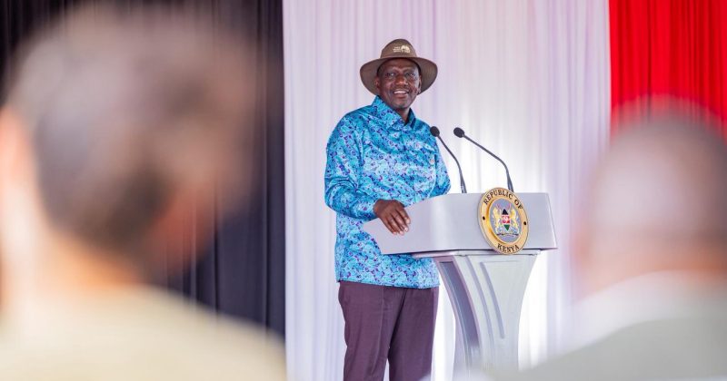 Tsavo West Rhino Sanctuary to create 18,000 jobs: Ruto