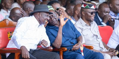 Ruto: UDA and ODM are partners, not rivals