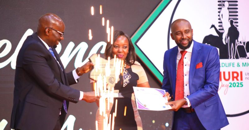 OPINION: Tourism As A Measure Of Kenya’s National Maturity