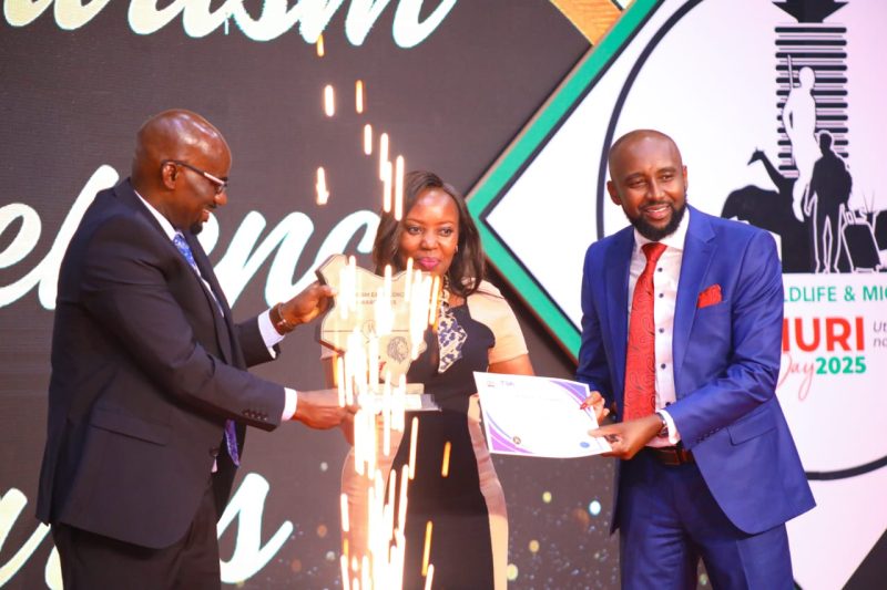 OPINION: Tourism As A Measure Of Kenya’s National Maturity