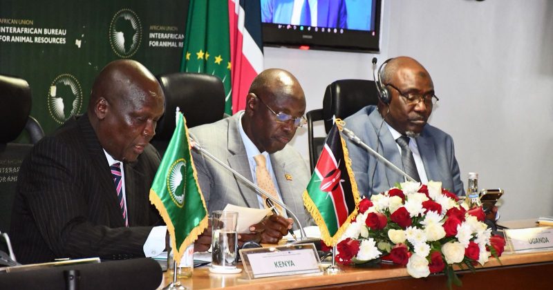 Africa Moves to End Deadly PPR as AU Launches High-Level Advisory Committee