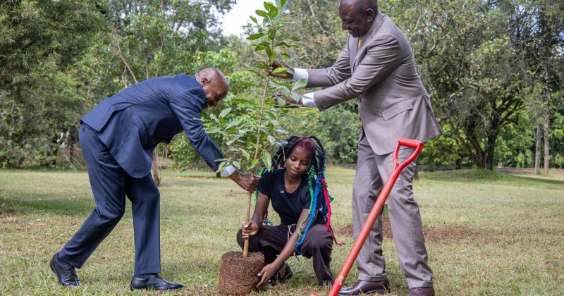 Ruto Rewards Environmental Activist Truphena Muthoni With Sponsored Holiday After Tree-Hug Contest