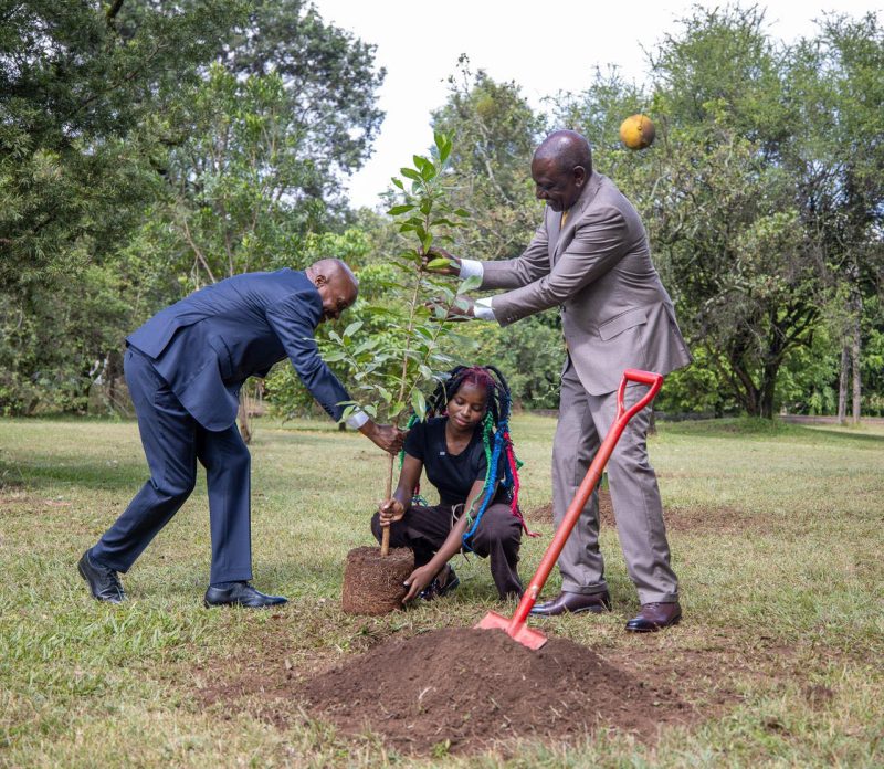 Ruto Rewards Environmental Activist Truphena Muthoni With Sponsored Holiday After Tree-Hug Contest