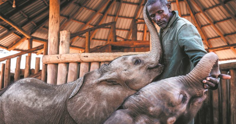 Samburu’s ‘Special Five’ and the cultural soul of Northern Kenya