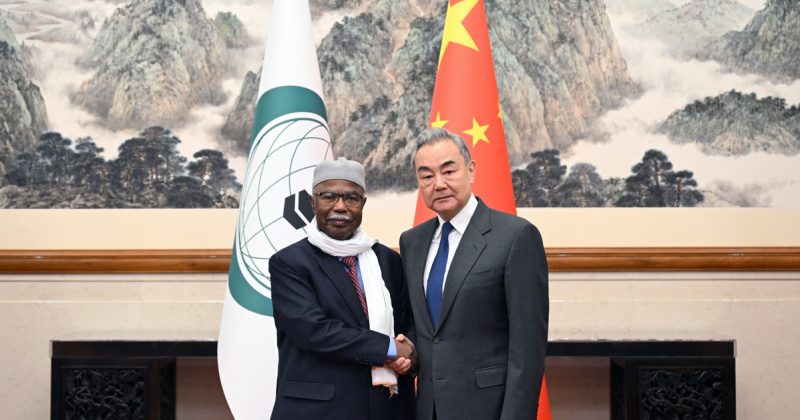 China seeks deeper partnership with Islamic world, backs fairer global order