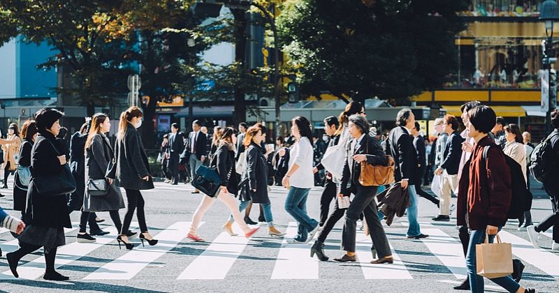 Chinese tourist numbers to Japan plunge as airlines cancel flights and safety fears grow