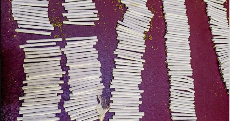 Garissa University student arrested with 650 rolls of bhang in hostel raid