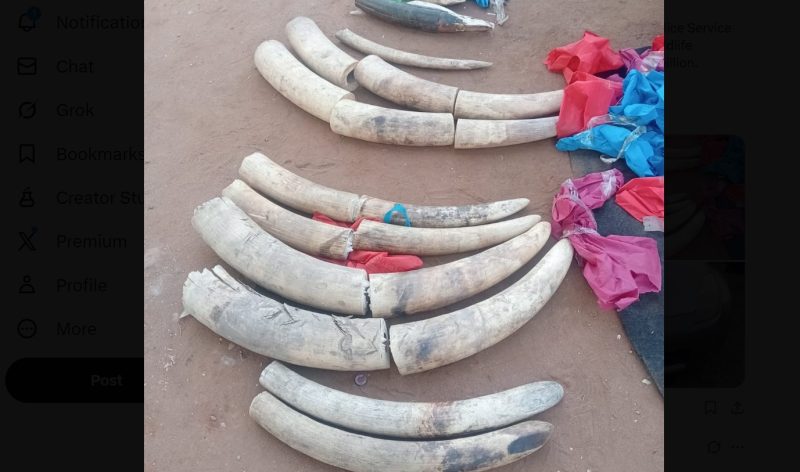 2 arrested as police seize 110kg of elephant tusks in Namanga