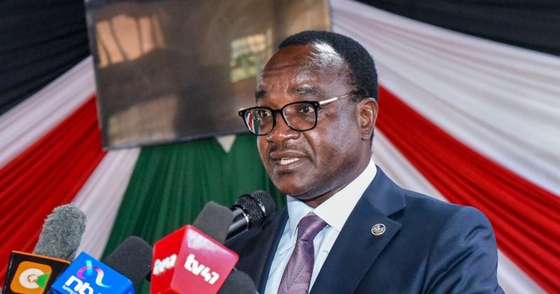 Over 202,000 Students Secure University Degree Placements