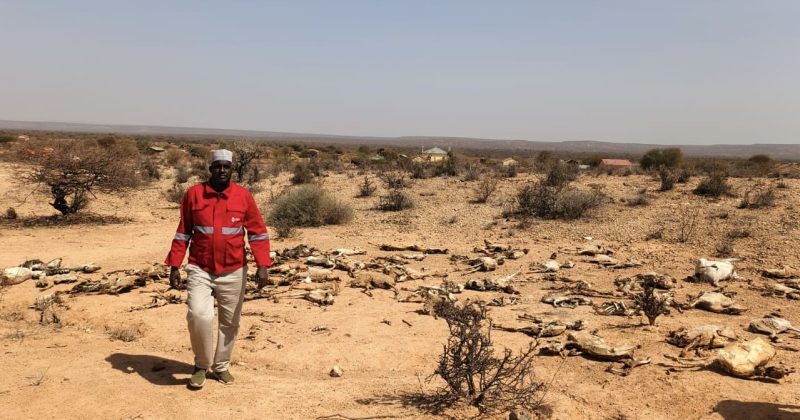 Govt Releases Sh1.8bn To Shield 133,000 Drought-Hit Families Under Hunger Safety Net