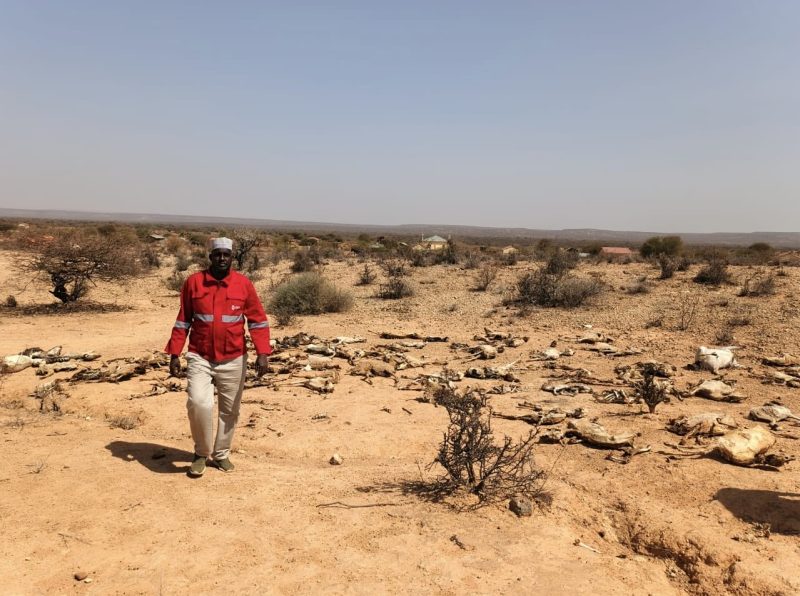 Drought leaves over two million vulnerable to health and nutrition crises in Kenya