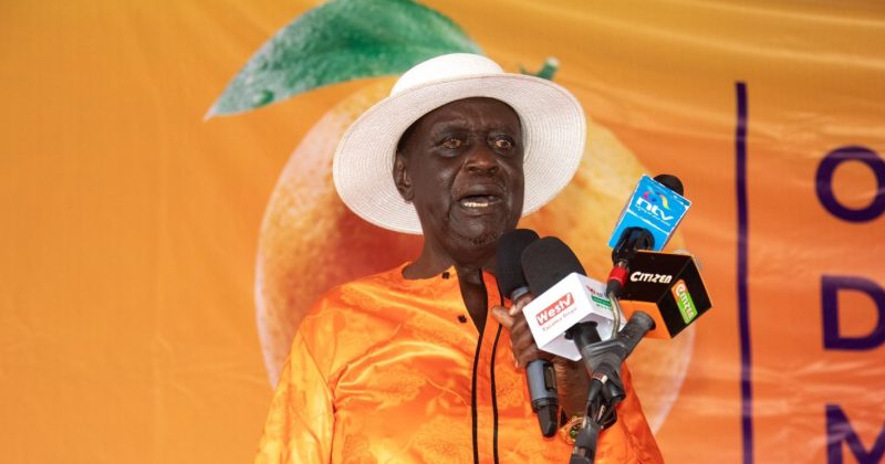 Oburu Oginga warns against ‘reckless tax removal’ amid fuel price pressure