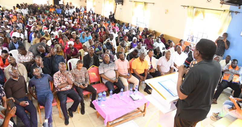 ODM Must Field Own Presidential Candidate,’ Orengo insists