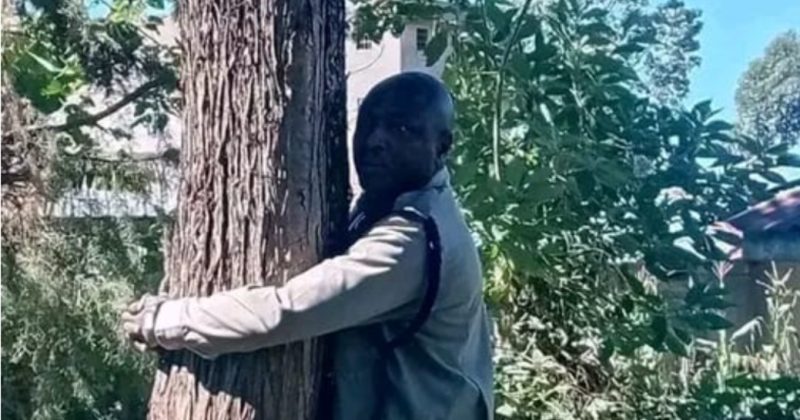 Kericho OCS taken for medical check after tree-hugging incident at station