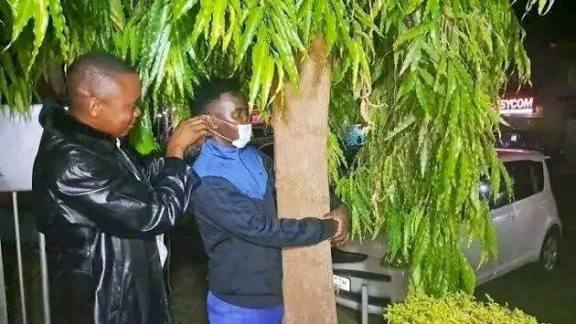 Health Ministry warns against prolonged tree hugging without medical clearance.