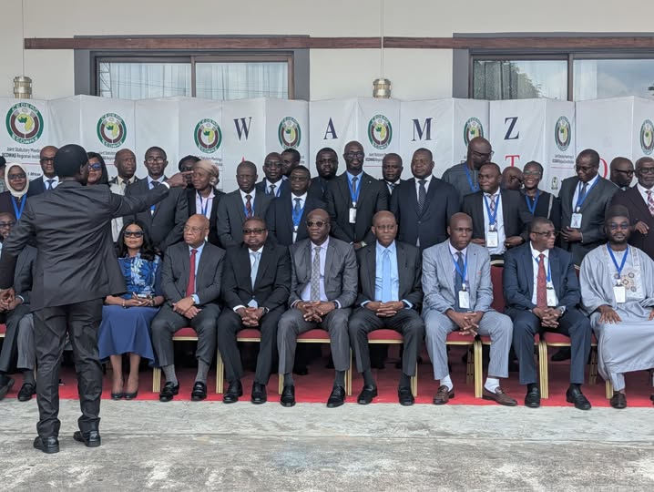 Central bank governors meet to finalize West Africa’s single currency – China Daily