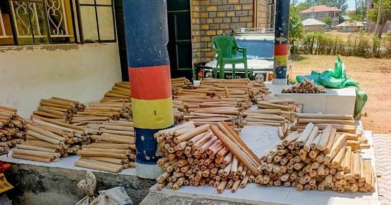 Police seize 2,353 rolls of bhang in Homa Bay