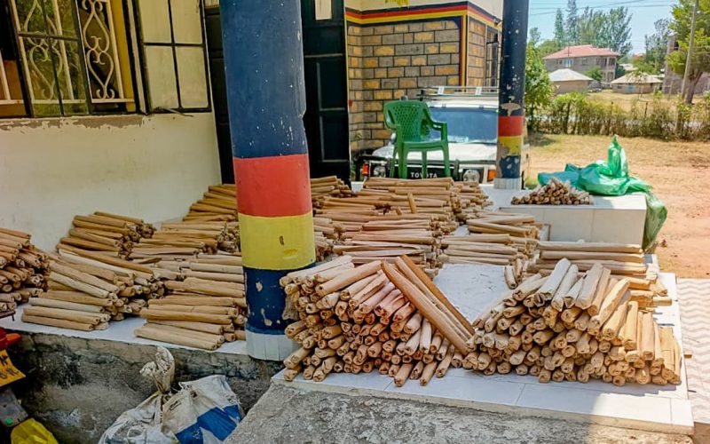 Police seize 2,353 rolls of bhang in Homa Bay
