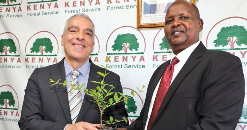 KFS, Israel explore partnership to boost dryland forestry training