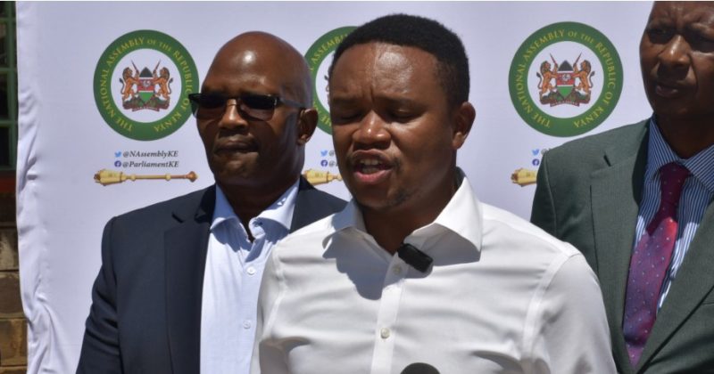 Zoning will kill democracy, entrench tribal parties: UDA’s Kimani Kuria